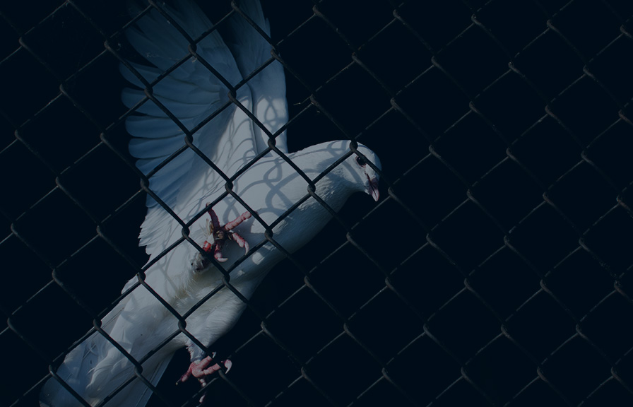 Fed Thoughts: War & Peace