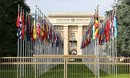 Field Notes: Observing the International Bureaucrat