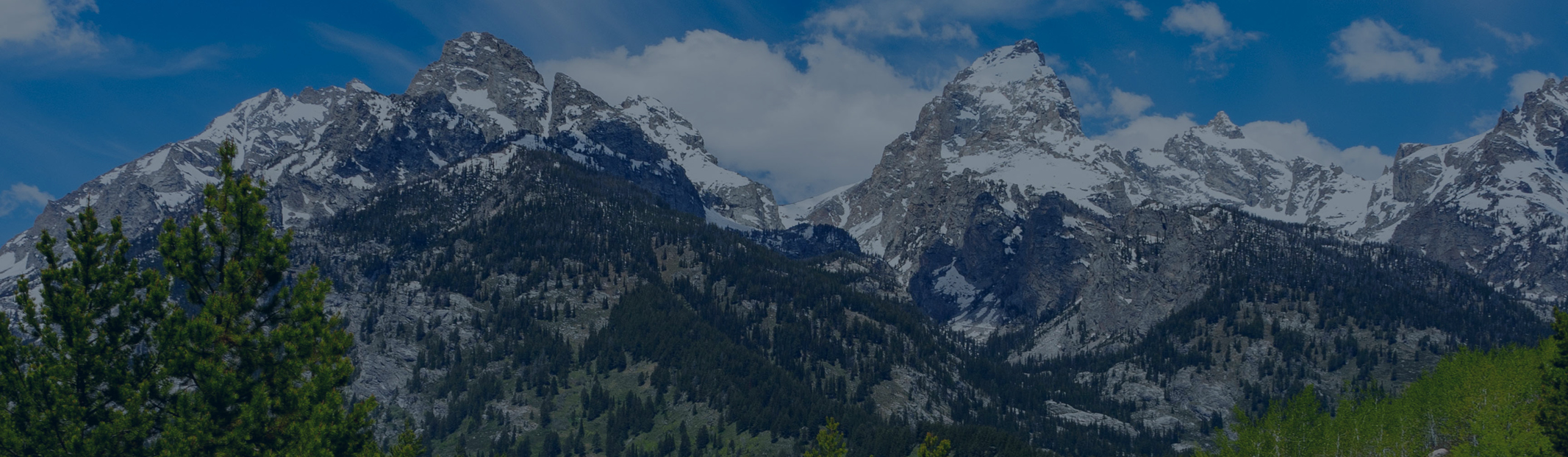 Fed Thoughts: A Central Bank Switchback
